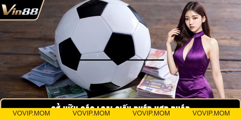 Nhà Cái Cược Thể Thao Uy Tín - Cơ Hội Cá Cược An Toàn - VOVIP