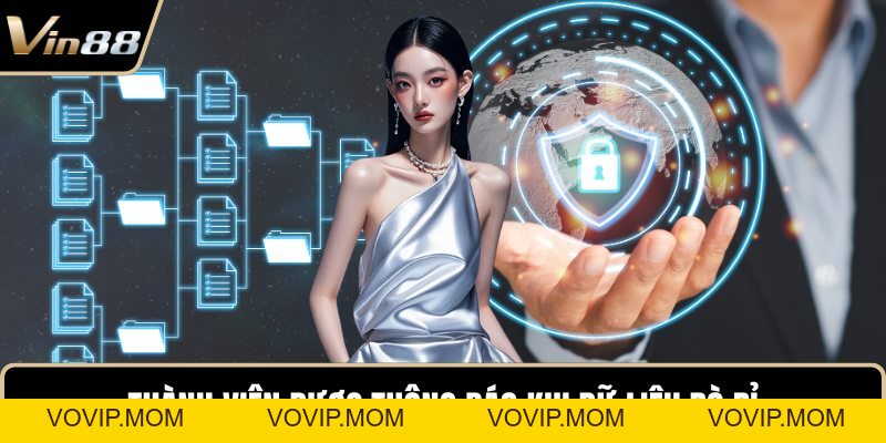 Chính Sách Bảo Mật VIN88 - Cam Kết An Toàn Dữ Liệu 100% - VOVIP